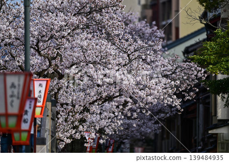 Beautiful cherry blossoms at Kazuemachi Chaya District Beautiful cherry blossoms at Kazuemachi Chaya District 139484935