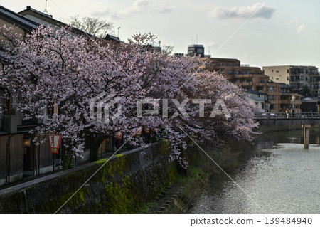 Beautiful cherry blossoms at Kazuemachi Chaya District Beautiful cherry blossoms at Kazuemachi Chaya District 139484940
