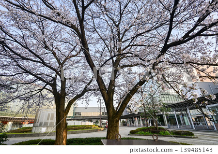 Kanazawa Station with blue sky and cherry blossoms in full bloom 139485143