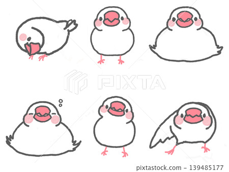 A set of cute illustrations of white Java sparrows in various poses. A set of cute illustrations of white Java sparrows in various poses. 139485177
