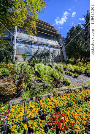 Modern glass greenhouse with colorful flower garden Modern glass greenhouse with colorful flower garden 139485308