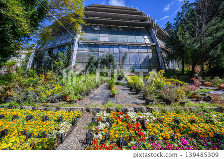 Modern glass greenhouse with colorful flower garden Modern glass greenhouse with colorful flower garden 139485309