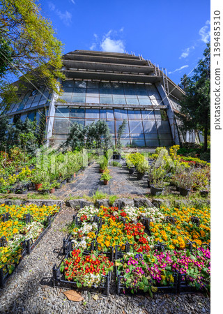 Modern glass greenhouse with colorful flower garden 139485310