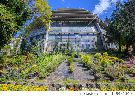 Modern glass greenhouse with colorful flower garden Modern glass greenhouse with colorful flower garden 139485340