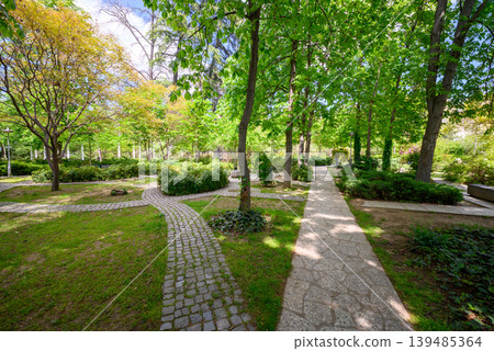 Sunny urban park with winding paths and lush green trees Sunny urban park with winding paths and lush green trees 139485364