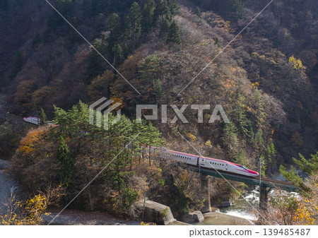 Super Komachi running through the autumn foliage Super Komachi running through the autumn foliage 139485487