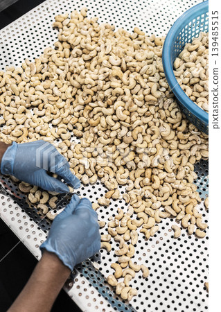 workers sorting cashew nuts at modern industrial agriculture factory in cambodia workers sorting cashew nuts at modern industrial agriculture factory in cambodia 139485515
