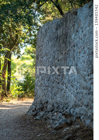 Sunlit forest path beside rustic stone wall Sunlit forest path beside rustic stone wall 139485542