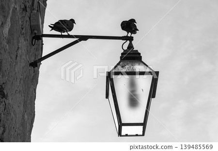 Monochrome street lantern with pigeons against cloudy sky Monochrome street lantern with pigeons against cloudy sky 139485569