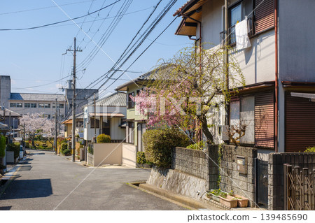 A peaceful residential area in spring with cherry blossoms in bloom: A Japanese streetscape with blue skies and rolling hills. A peaceful residential area in spring with cherry blossoms in bloom: A Japanese streetscape with blue skies and rolling hills. 139485690