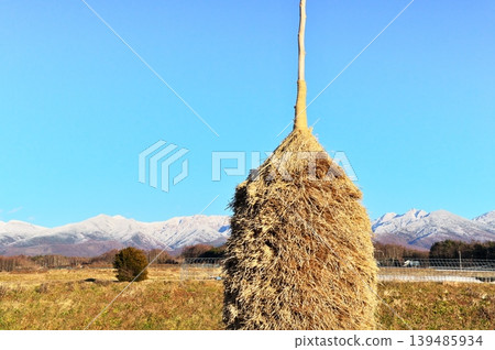 Straw urinary Straw urinary 139485934