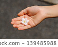 孩子掌心的一朵櫻花：春天的到來與小生命的璀璨。 139485988