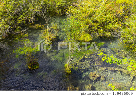 Beautiful Pearl Shoals Waterfall in Jiuzhaigou nature reserve (Jiuzhai Valley National Park),China. Beautiful Pearl Shoals Waterfall in Jiuzhaigou nature reserve (Jiuzhai Valley National Park),China. 139486069
