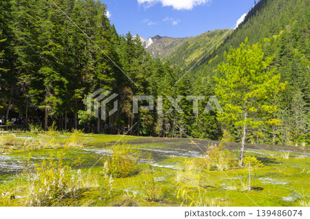 Beautiful Pearl Shoals Waterfall in Jiuzhaigou nature reserve (Jiuzhai Valley National Park),China. 139486074