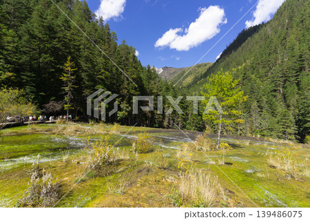 Beautiful Pearl Shoals Waterfall in Jiuzhaigou nature reserve (Jiuzhai Valley National Park),China. 139486075