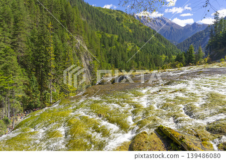 Beautiful Pearl Shoals Waterfall in Jiuzhaigou nature reserve (Jiuzhai Valley National Park),China. 139486080