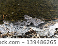 Lake Suwa is frozen over. 139486265