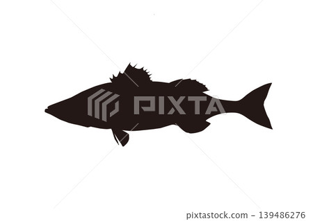 海鱸魚（鈴木）輪廓插圖 - 海釣類素材 139486276