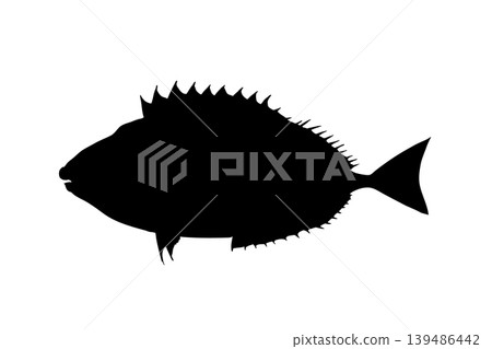 兔魚（Aigo）的輪廓插圖－危險魚類圖片 139486442