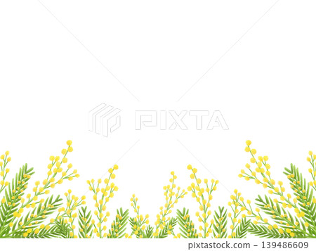Mimosa frame illustration (bottom) 139486609