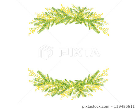 Mimosa against a backdrop of beautiful green leaves 139486611