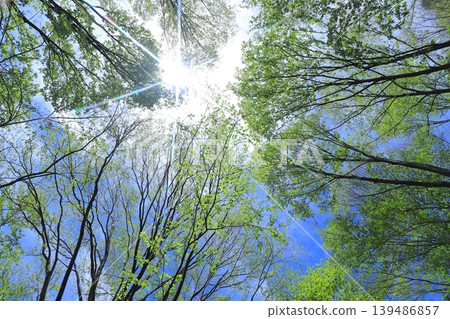 Fresh green Fresh green 139486857