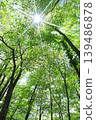 Fresh green 139486878