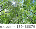 Fresh green 139486879