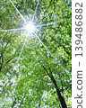 Fresh green 139486882