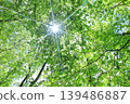 Fresh green 139486887