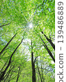 Fresh green 139486889