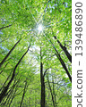 Fresh green 139486890