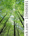 Fresh green 139486891