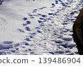 Footprints on a snowy path 139486904