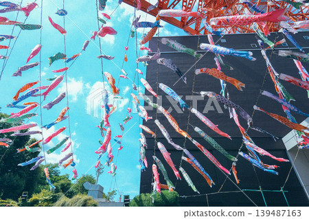 鯉魚飄帶游泳在天空中 139487163