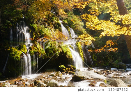 Autumn scenery woven from golden maple leaves and the Toryu Waterfall cascading down from between rocks - Ver1 139487332