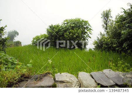 尼泊爾安納普爾納山脈,雲霧繚繞的山村風景。 尼泊爾安納普爾納山脈,雲霧繚繞的山村風景。 139487345