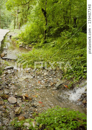 尼泊爾安納普爾納健行路線上的溪流和鵝卵石山路 139487348
