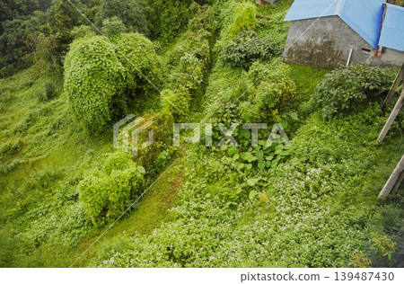 澳洲營地附近喜馬拉雅山村風光 澳洲營地附近喜馬拉雅山村風光 139487430