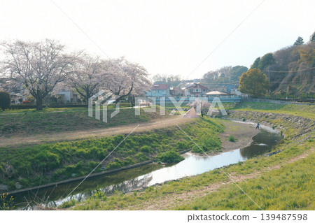 Scenery with cherry blossoms Scenery with cherry blossoms 139487598