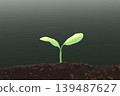 Illustration of a new shoot sprouting from the soil. 139487627