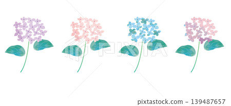 一組繡球花水彩插圖。 一組繡球花水彩插圖。 139487657