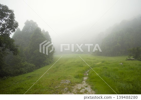 尼泊爾安納普爾納健行路線上,一條山徑籠罩在薄霧之中。 尼泊爾安納普爾納健行路線上,一條山徑籠罩在薄霧之中。 139488280