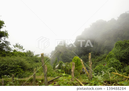 喜馬拉雅山中一個籠罩在薄霧中的山村景色。 139488284