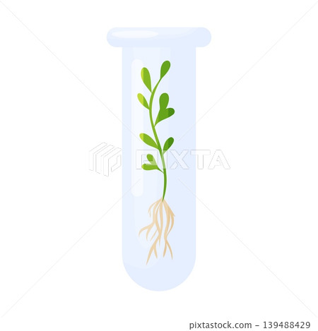 Green Plant Seedling in Glass Test Tube Green Plant Seedling in Glass Test Tube 139488429