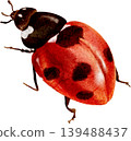 Clipart of a crawling ladybug, isolated illustration. A beautiful hand-drawn watercolor insect. 139488437