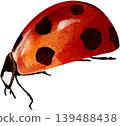 A clipart of a ladybug, an isolated illustration. A beautiful hand-drawn watercolor insect. 139488438