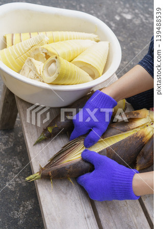 Peeling bamboo shoots | Preparing bamboo shoots Peeling bamboo shoots | Preparing bamboo shoots 139488539