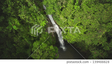 Fiji, Nadi Waterfall: Breathtaking aerial view pristine waterfall cascading through vibrant green rainforest canopy, embodying nature's tranquility. Wild nature landscape. Drone flight zoom in 139488828