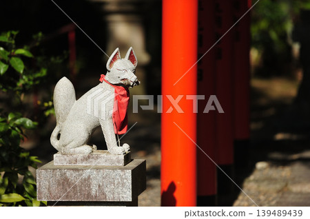森林深處的一座稻荷神社 森林深處的一座稻荷神社 139489439